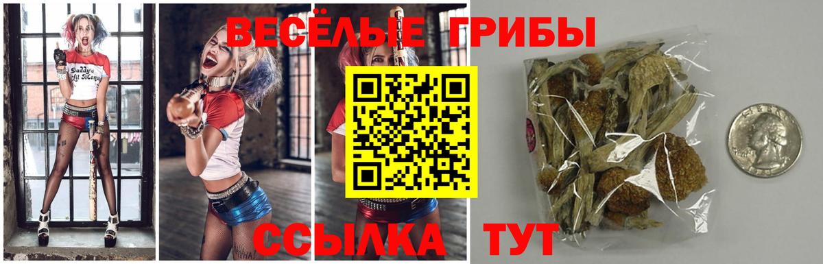 Галлюциногенные грибы GOLDEN TEACHER  Вход с VPN  Петрозаводск 